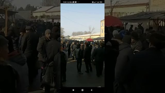 1 февраля 2022 г. птичий рынок в андижане, андижанские голуби узбекские голуби смотреть онлайн