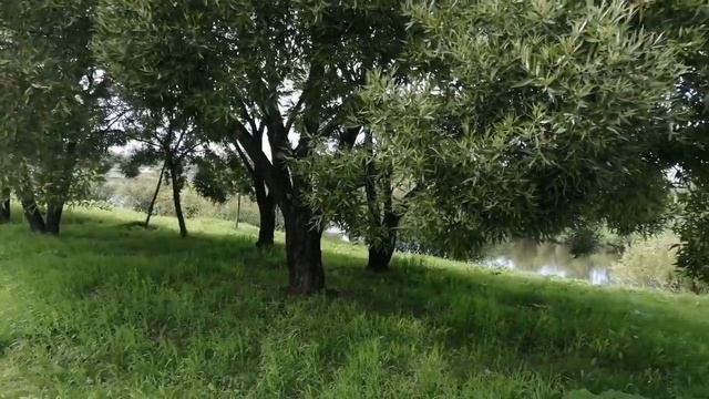 Деревенский дневник очень многодетной мамы. Муж с плеч долой. Прибыла помощница! смотреть онлайн