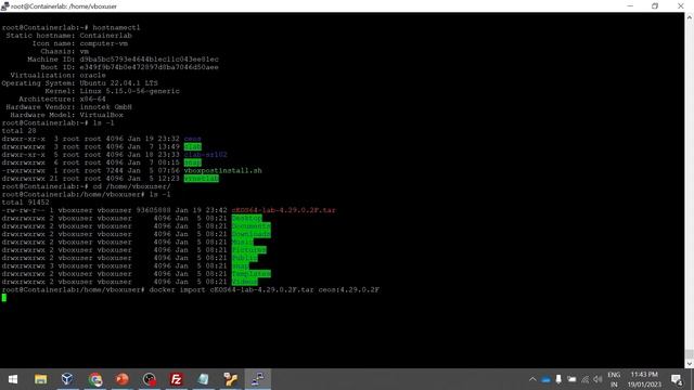 How to setup Arista cEOS Docker Image смотреть онлайн