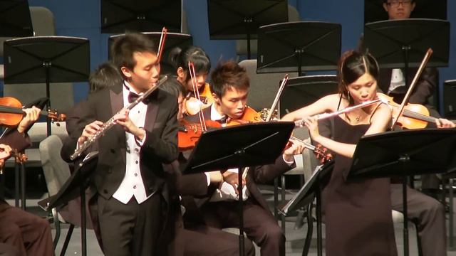 Andante and Rondo for two Flutes and Strings -- Franz Doppler смотреть онлайн