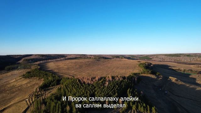 Ищите ночь предопределения в последние десять ночей Рамадана смотреть онлайн
