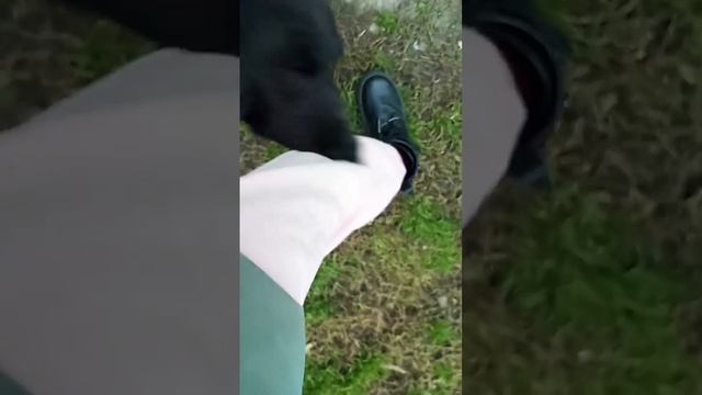 29 сентября 2023 г. смотреть онлайн