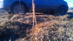 Сравнение всесезонной и зимней легковой резины в грязи