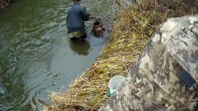 Ловим пескарей смотреть онлайн