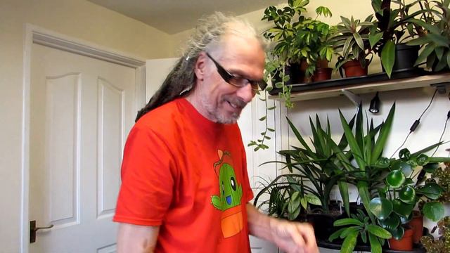 How To Save A Euphorbia Succulent From Rot Caused By Frost Or Cold Damage