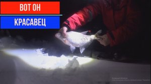 РЫБАЛКА 2023.РЫБАЧИМ НА РЕКЕ ОБЬ.РЫБАЧИМ С НОЧЕВКОЙ. РЫБАЧИМ НА ЗИМНИЕ УДОЧКИ..ЛЕЩ....