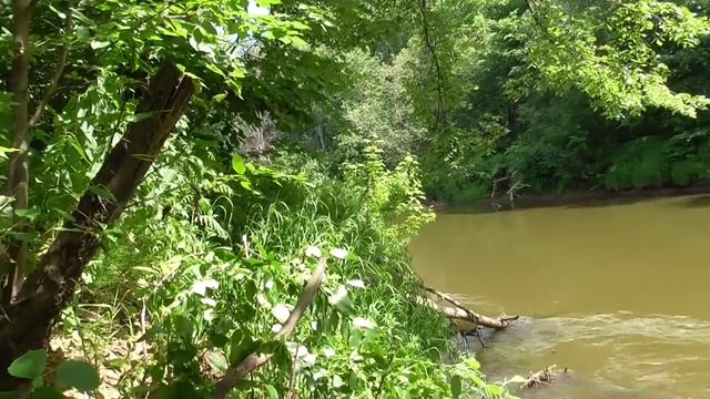 Читаем Голавлевый перекат. смотреть онлайн