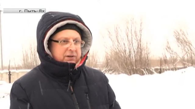 Бездомным животным Пыть-Яха может помочь каждый смотреть онлайн