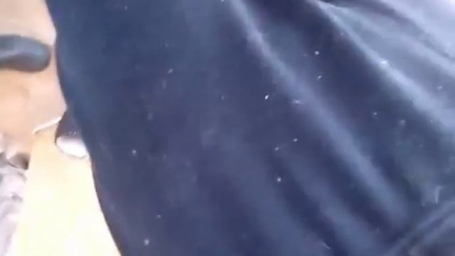 Репост  Трансформатор Кулдошина