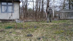 Как правильно обрезать старый запущенный виноград весной для начинающих