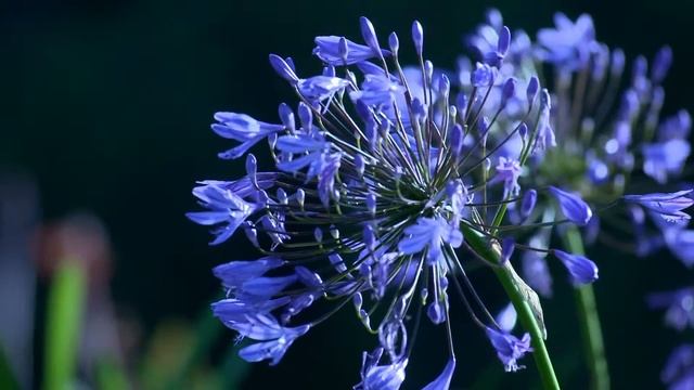 30 секунд наслаждения природы смотреть онлайн