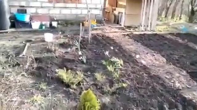 ЕЙСК. ДАЧИ🍒 ПОРАБОТАЛИ НА УЧАСТКЕ. ВОСПОМИНАНИЯ смотреть онлайн