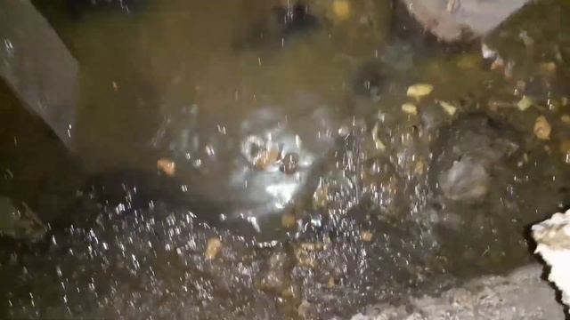 Нашли могилу в подвале. Ремонт канализации в 3-х подъездах смотреть онлайн