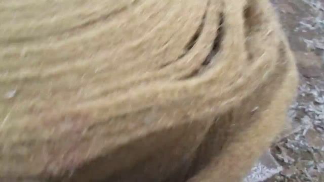 Лен джут и джут межвенцовый - их отличие