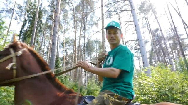 Озеро Яльчик - Национальный парк «Марий Чодра» - безопасность на отдыхе - сухостой смотреть онлайн