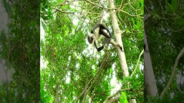 Learn Alphabet And Number