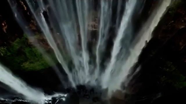 Живая жизнь смотреть онлайн