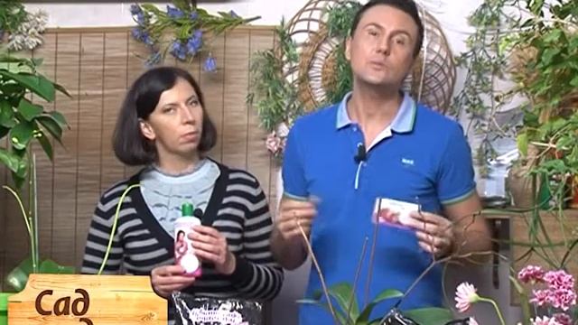 Заставка и плашки для передачи Сад Удачи (СГК, Москва) смотреть онлайн