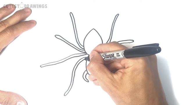 How to draw a Spider Tarantula | Spider Drawing Lesson смотреть онлайн