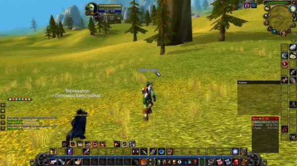 Обряд мудрости / Rite of Wisdom World of Warcraft  Classic 2019