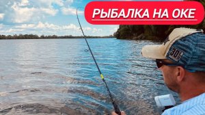 Сколько судака в этих корягах. Рыбалка на Оке ловля на джиг.