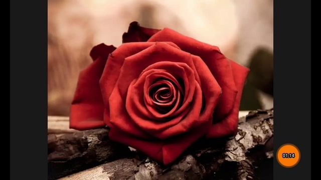 EA7|Ну давай,ну давай.. смотреть онлайн