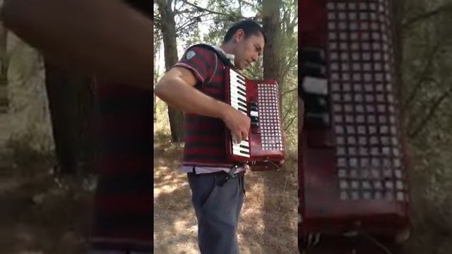 Acordeon en la montaña смотреть онлайн