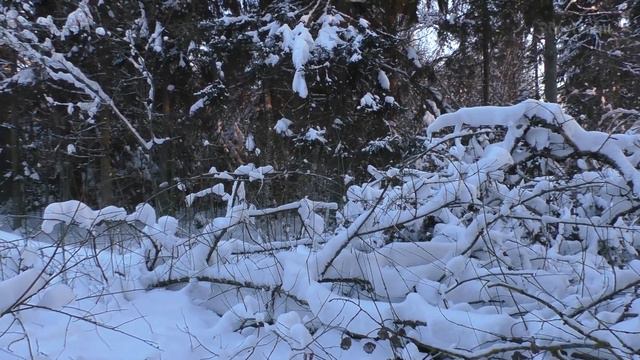 Как я подключал монетизацию и чуть не лишился рекламы смотреть онлайн