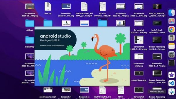 Flutter doctor Error, Update to the latest Android SDK