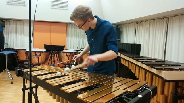 N. J. Zivkovic - Suomineito | played by L. Waltersdorfer смотреть онлайн