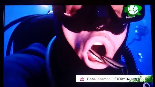 Звериный репортёр стоматология смотреть онлайн