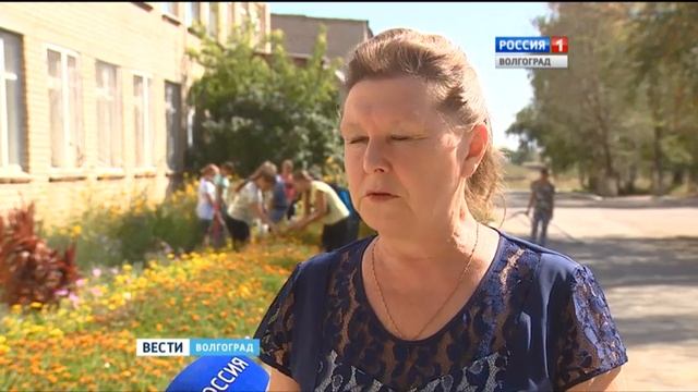 Ученики Большеивановской школы собрали 136 тонн зерна смотреть онлайн