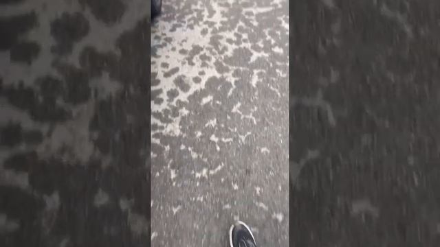 KIA Optima 2019 в рассрочку без банка смотреть онлайн