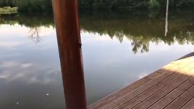 Холмы мост баня озеро смотреть онлайн