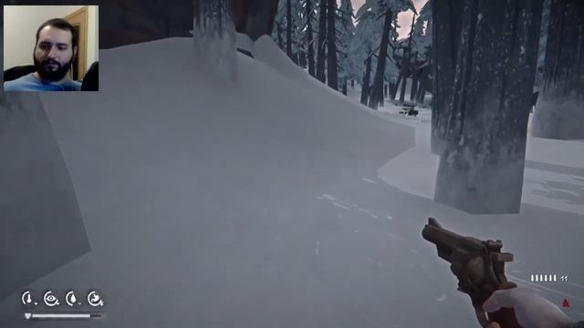 The Long Dark ➤ [Прохождение #22][Стрим] ➤ Мистер водопроводчик "Марио" Маккензи смотреть онлайн