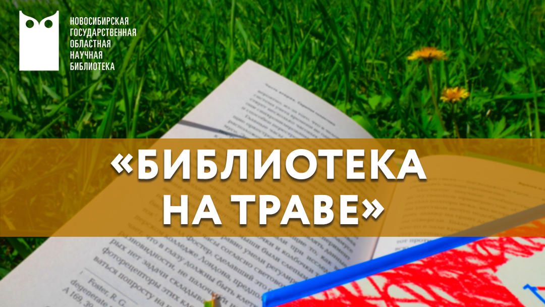 «Библиотека на траве» 2024