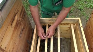 Семья трутовка - попробуйте метод братьев Чебуздиных.