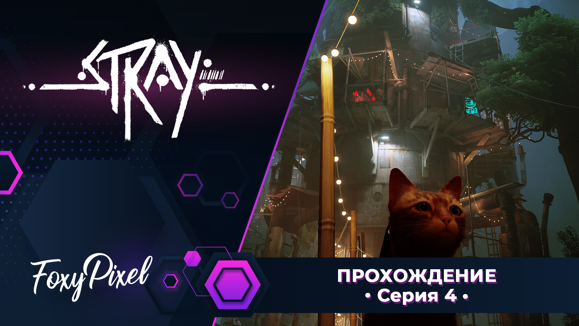 Stray #4 Котейка в робовейнике =^.^=