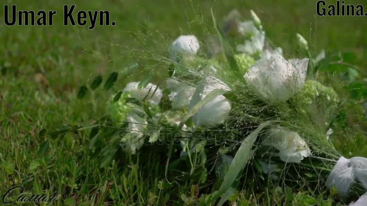 ---Umar Keyn---Belye Rozy--- смотреть онлайн