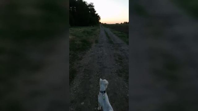 Coub Люблю запах напалма по утрам смотреть онлайн