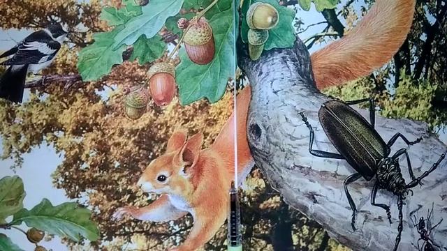 Уроки экологической этики 1 смотреть онлайн