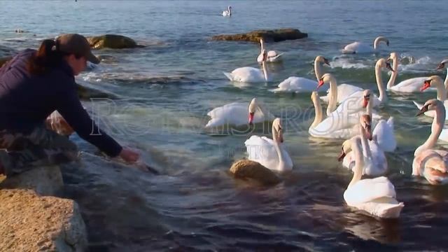 Жемчужина Каспия АКТАУ 2013 смотреть онлайн