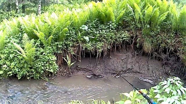 Дневной клев хариуса. смотреть онлайн