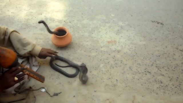 KAROL BEFFA Tel un serpent qui danse - for saxophone смотреть онлайн
