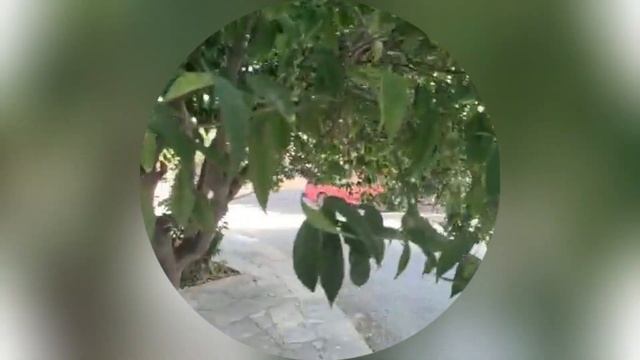 ГОД НА КИПРЕ | ЭМИГРАЦИЯ смотреть онлайн