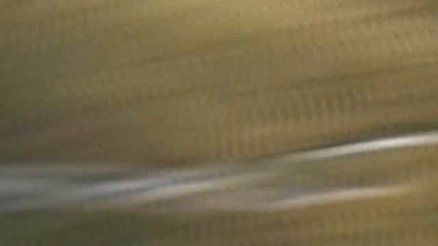 Scouts Balloon Volunteering team смотреть онлайн