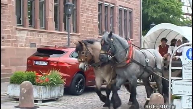 Kaufmannszug in TBB 2019 смотреть онлайн