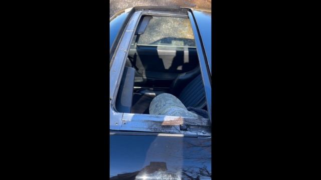 PCARMARKET Auction: Roof Operation - 1976 Porsche 912 E смотреть онлайн