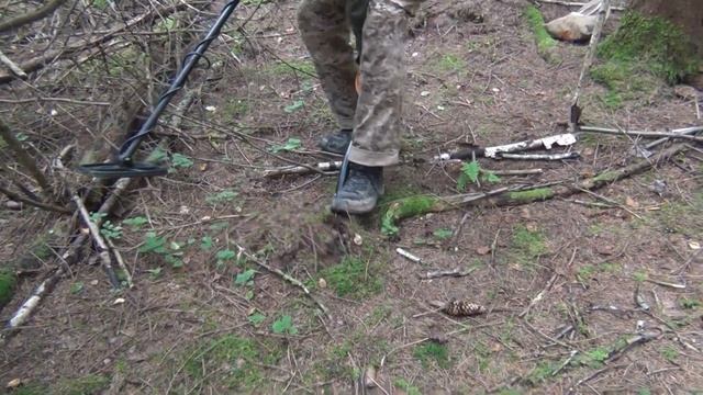 Копаем один сигнал металлоискателями Minelab Equinox 600 и Quest X5 смотреть онлайн