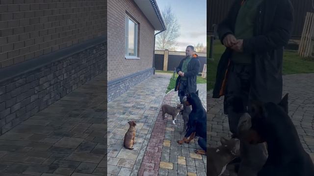 Ко мне по очереди!)